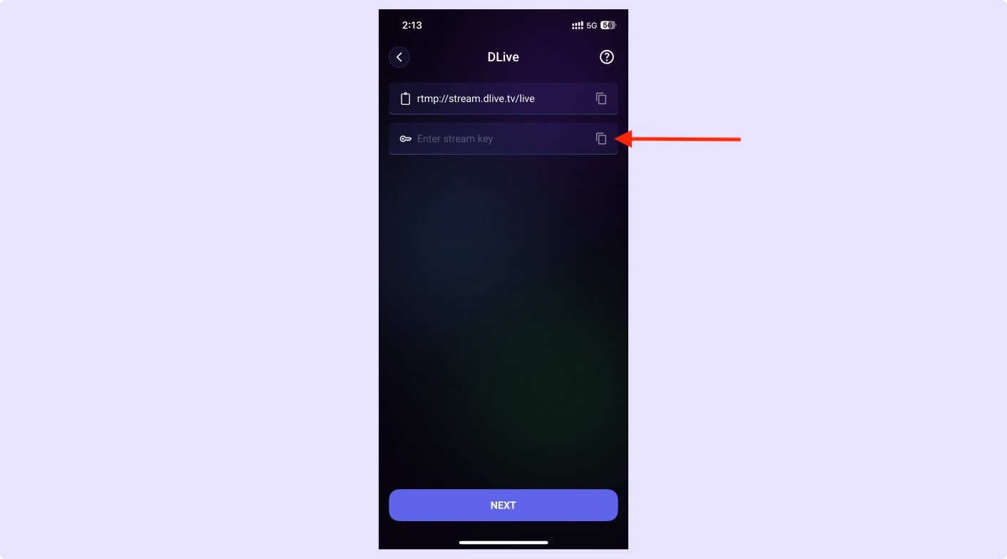 Paste Server URL and Stream Key