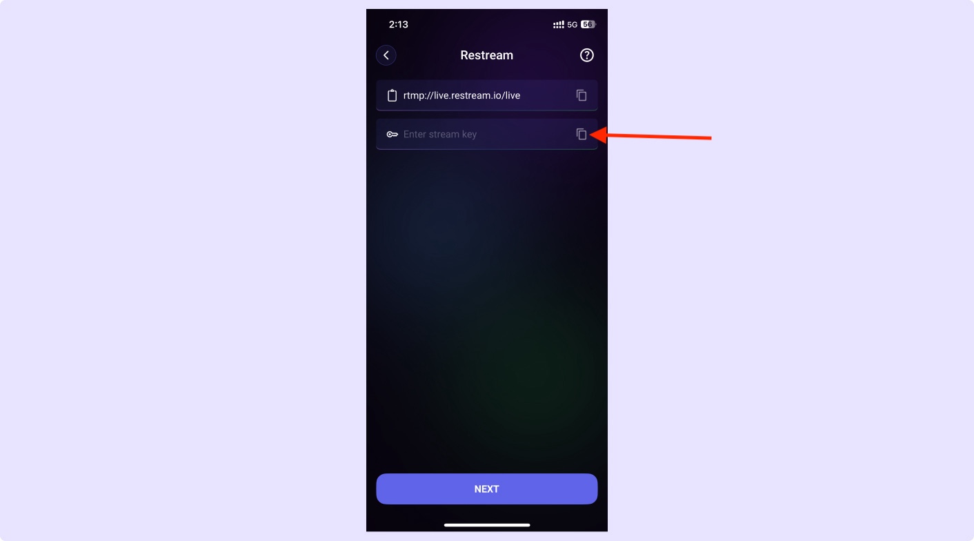 Paste RTMP URL and Stream Key