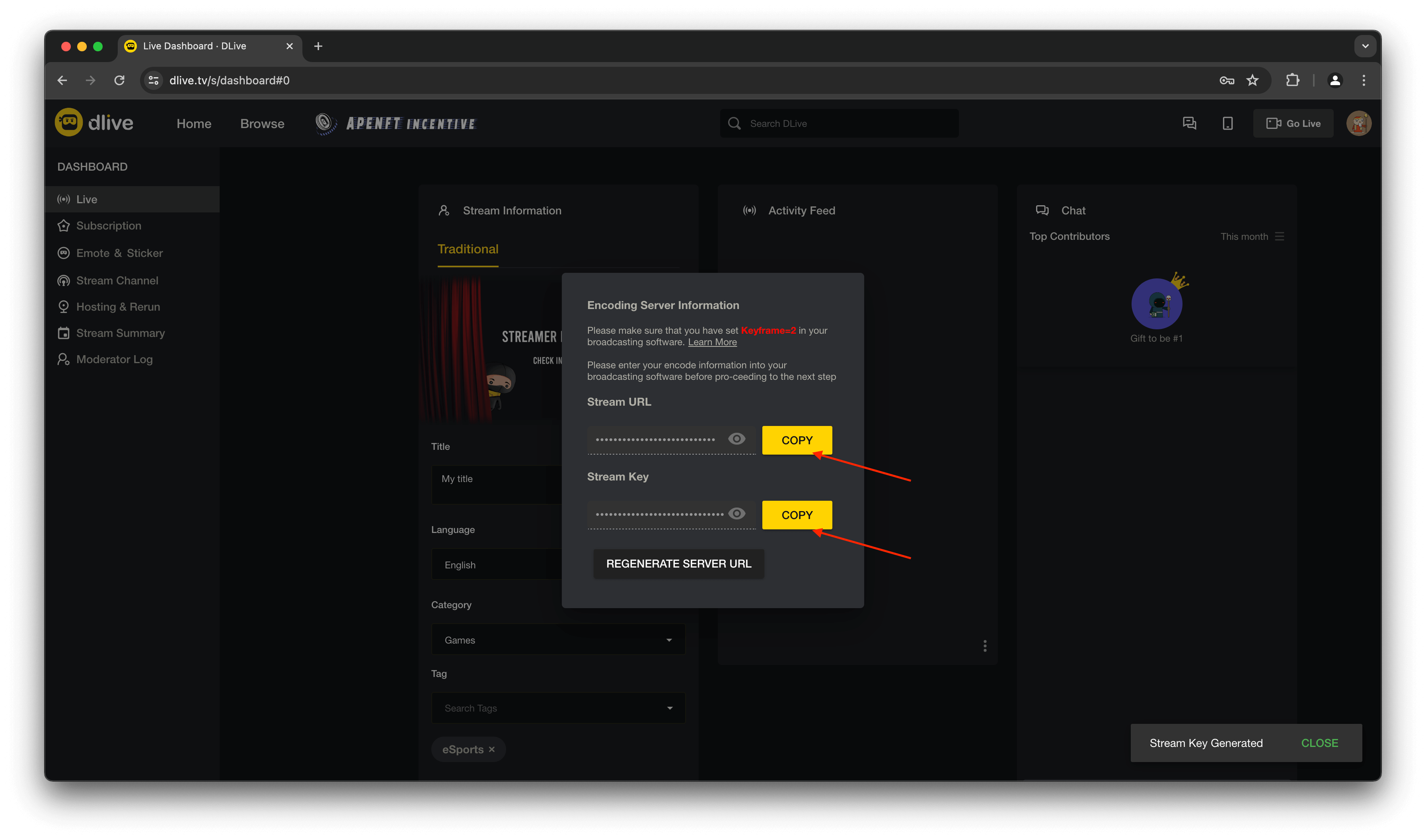 Copy Server URL and Stream Key